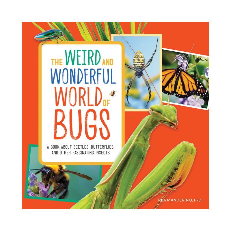 The Weird and Wonderful World of Bugs: A Book About Beetles, Butterflies, and Other Fascinating Insects