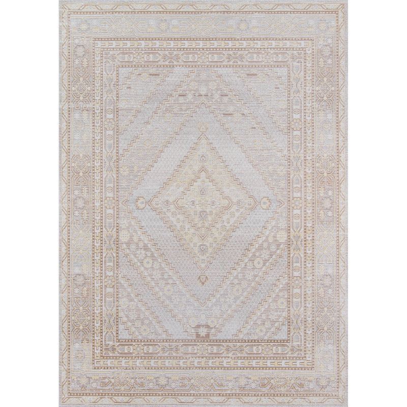 Isabella Gray Polyester Geometric Area Rug 9'3" x 11'10"