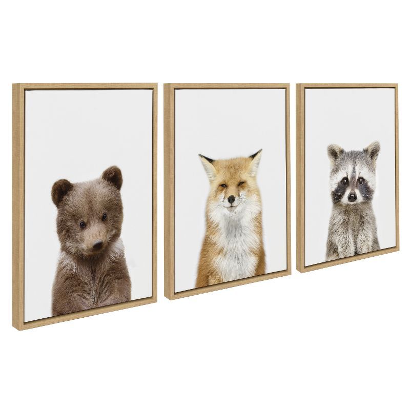 Natural Framed Bear, Fox, and Raccoon Canvas Art Set