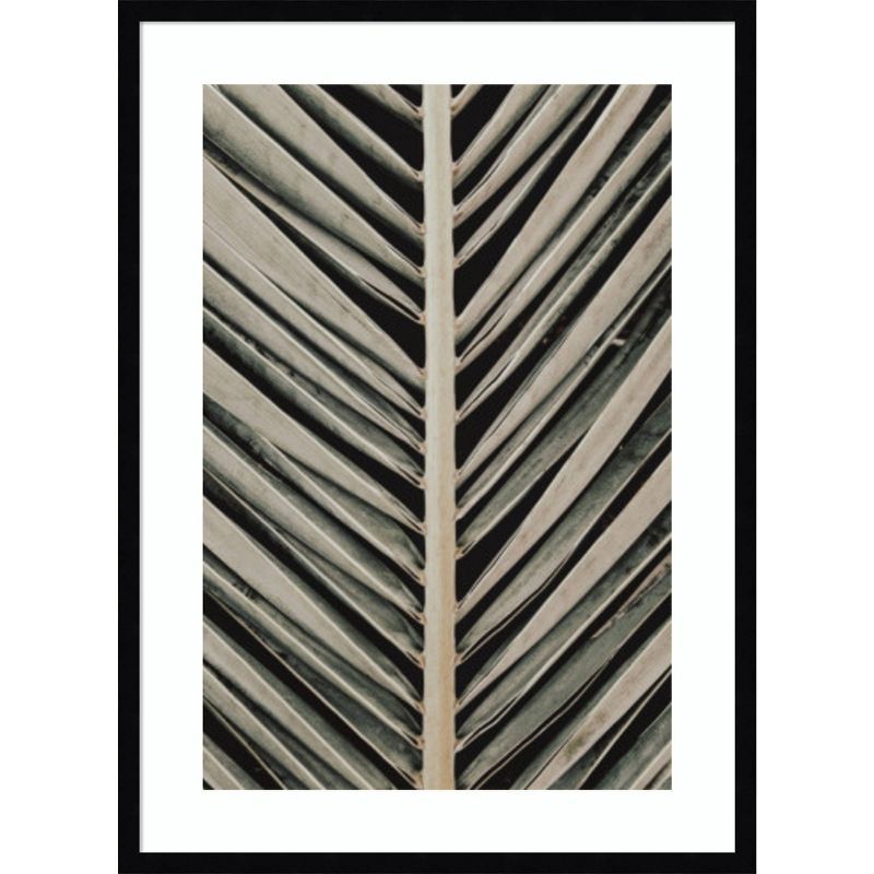 Beige and Black Palm Leaf Macro Photography Framed Wall Art