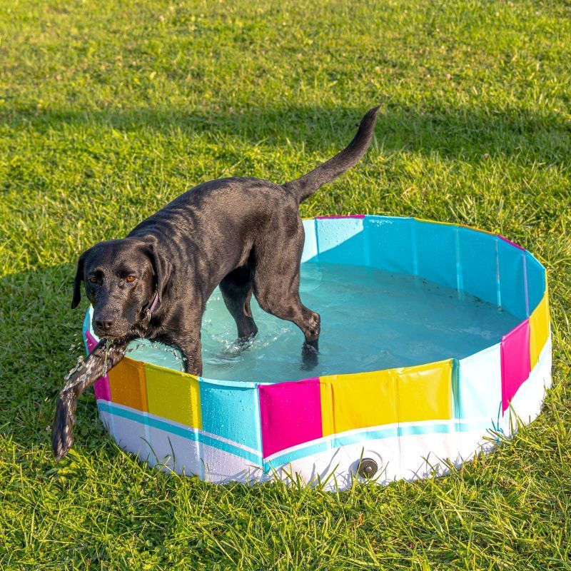 Rainbow Foldable PVC Hard Side Dog Pool