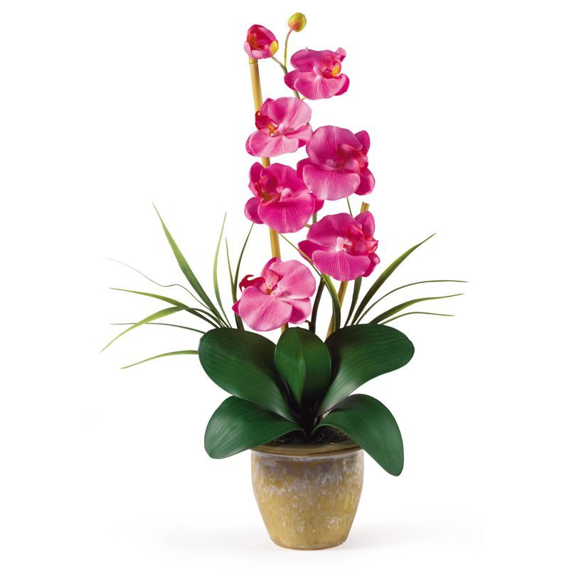 Dark Pink Silk Phalaenopsis Orchid in Ceramic Pot