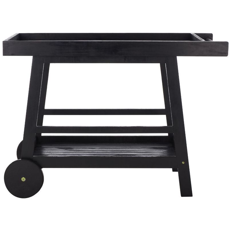 Renzo Black Eucalyptus Wood Indoor/Outdoor Bar Cart with Storage