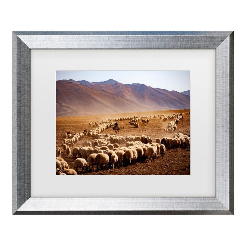 Murat Cacim Silver Framed Desert Sheep Canvas Print