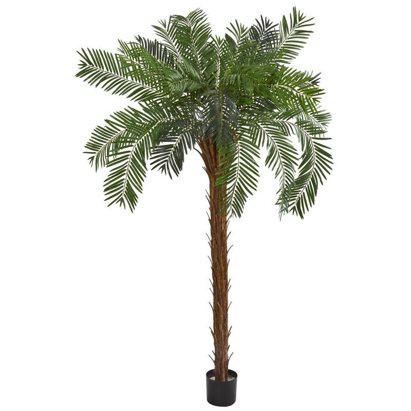 Lifelike 7' Cycas Palm Artificial Floor Plant in Pot