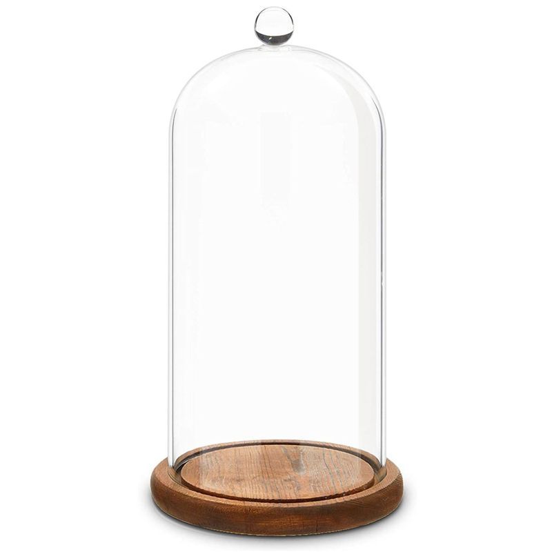 Clear Glass Cloche Dome with Wooden Base, 11 Inches