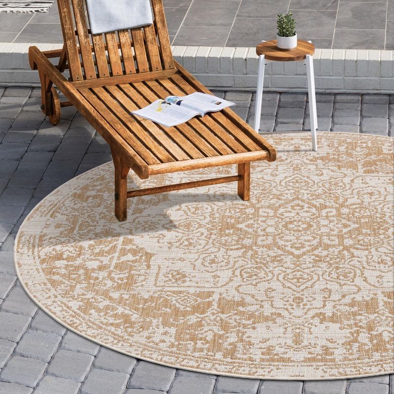 13 Ft Round Beige Brown Floral Synthetic Outdoor Rug