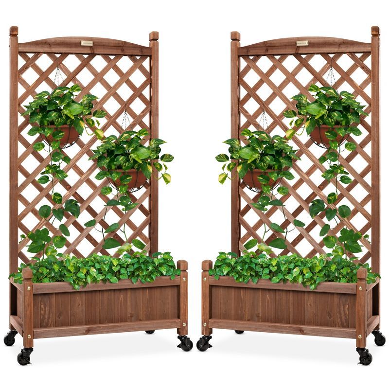 Set of 2 Walnut Fir Wood Planter Box with Trellis