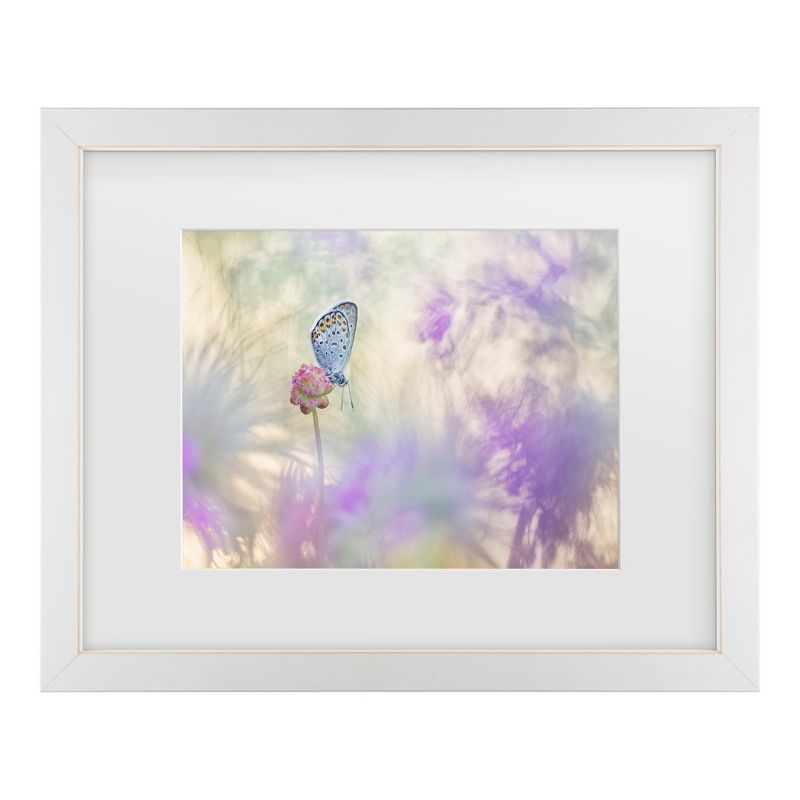 Henrik Spranz Butterfly on Pink Flower Framed Canvas Art