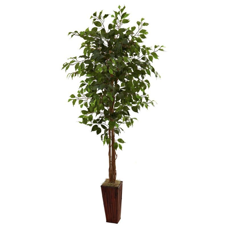 Lush 6' Ficus Floor Plant in Elegant Bamboo Planter