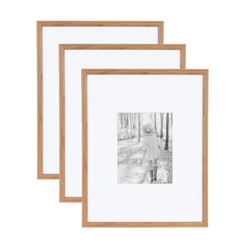 Adlynn Brown 16x20 Polystyrene Rectangle Picture Frame Set