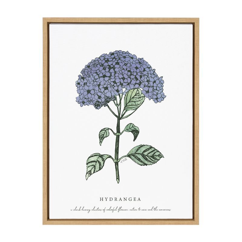 Blooming Hydrangea 24x18 Natural Canvas Print with Polystyrene Frame