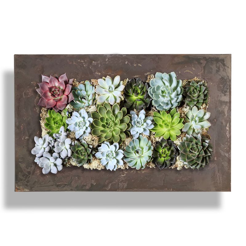 Rustic Galvanized Steel and Zinc 18-Pocket Succulent Planter