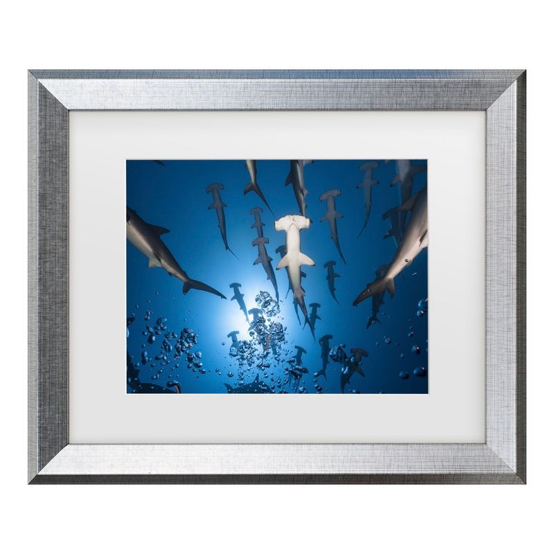 Silver Framed Hammerhead Shark Ocean Canvas Print