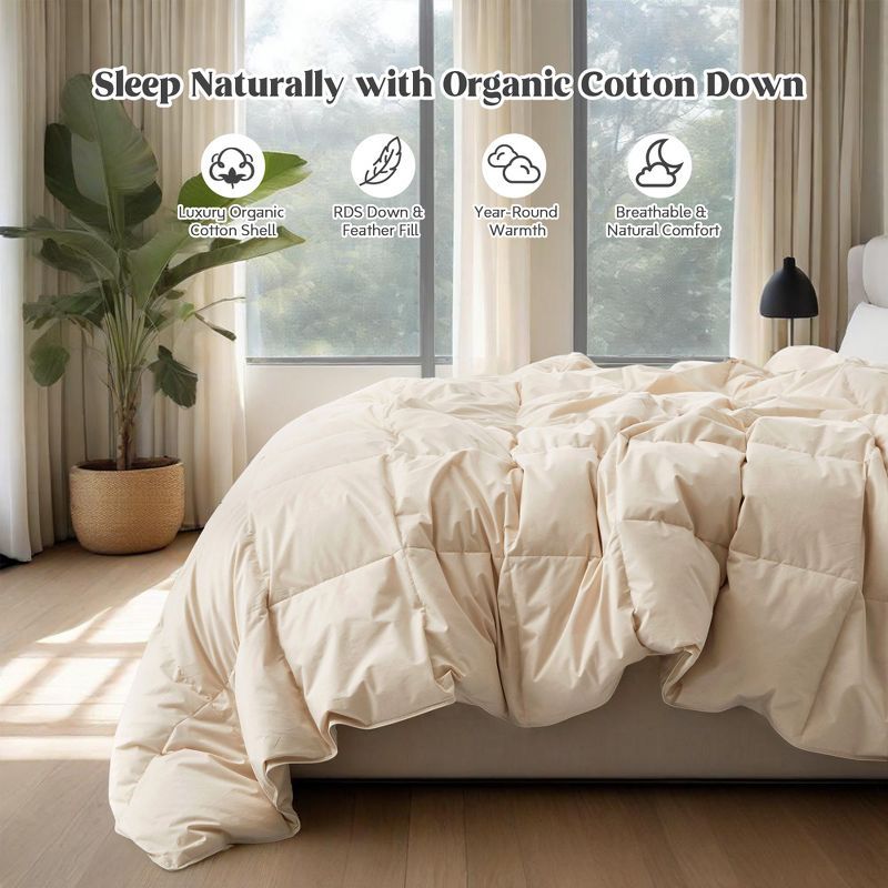EcoDream Full/Queen Off-White Organic Cotton Down Comforter