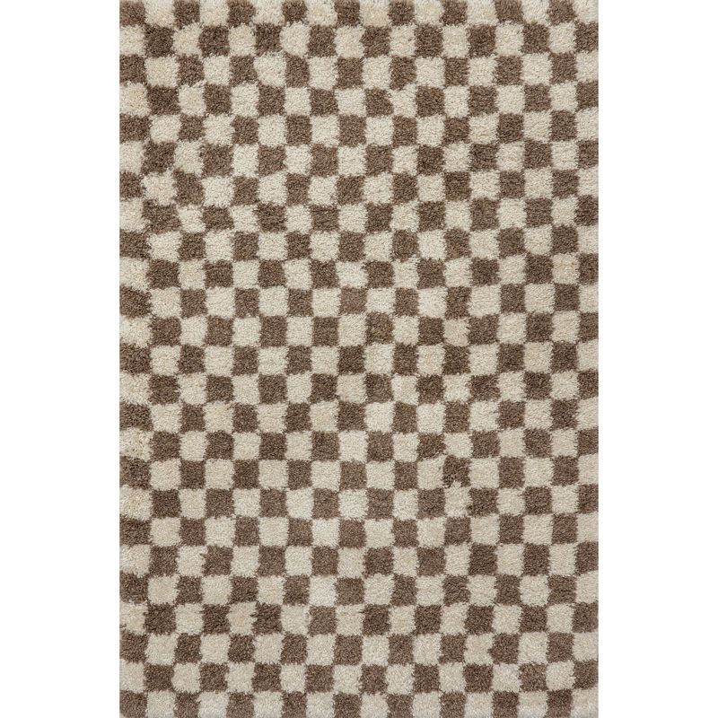 Beige and Brown Checkered Shag Synthetic Area Rug 2' x 3'