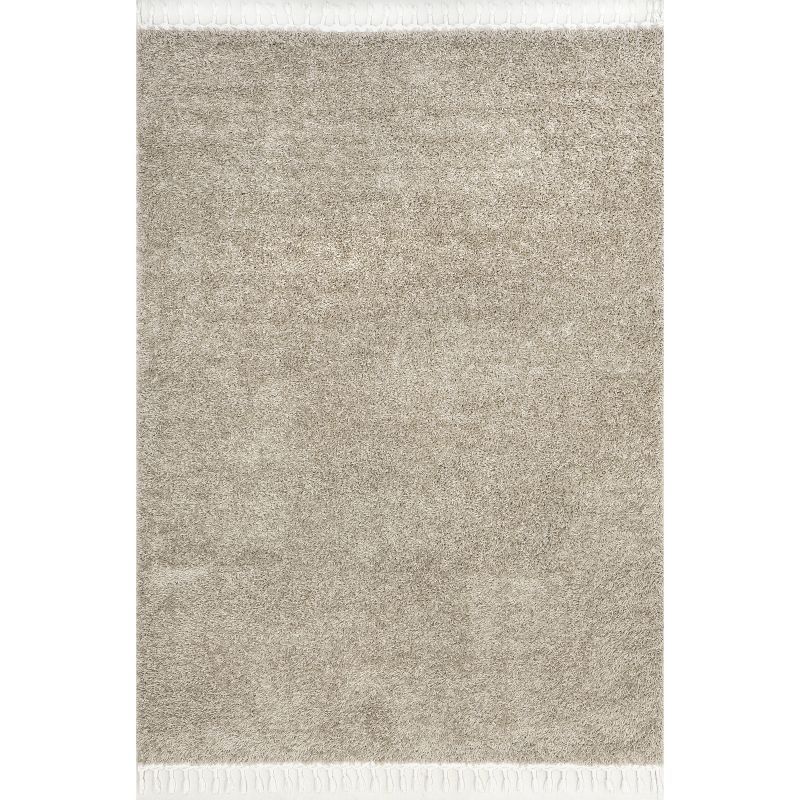 Cozy Beige Braided Tassel Shag Area Rug - Easy Care 3'x5'