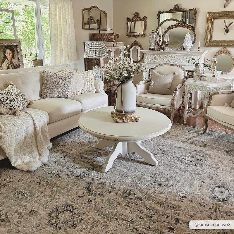 Georgiana Charcoal and Beige Medium Pile Area Rug