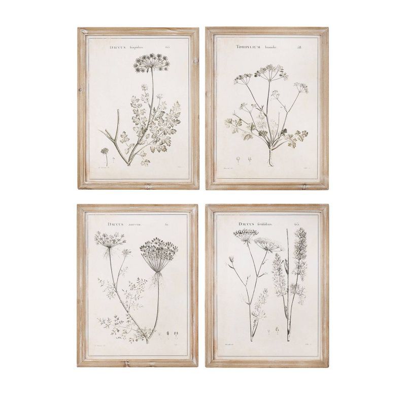 Set of 4 Distressed White Framed Botanical Prints