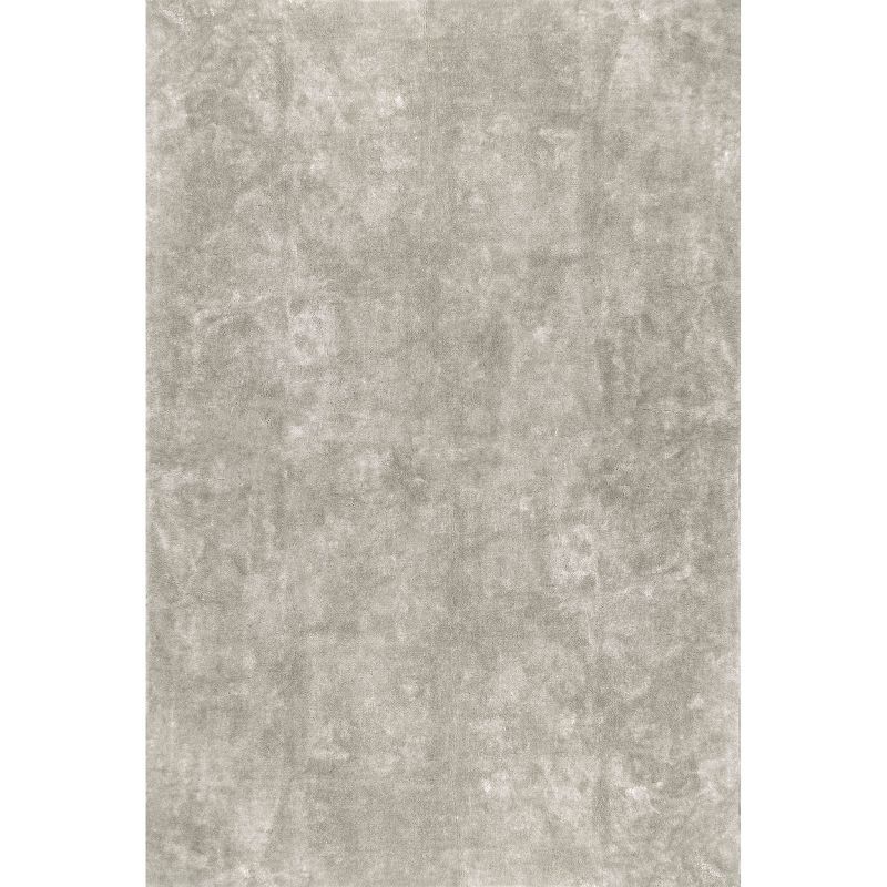 Whitlow Gray Polyester Shag 5' x 8' Machine Washable Area Rug