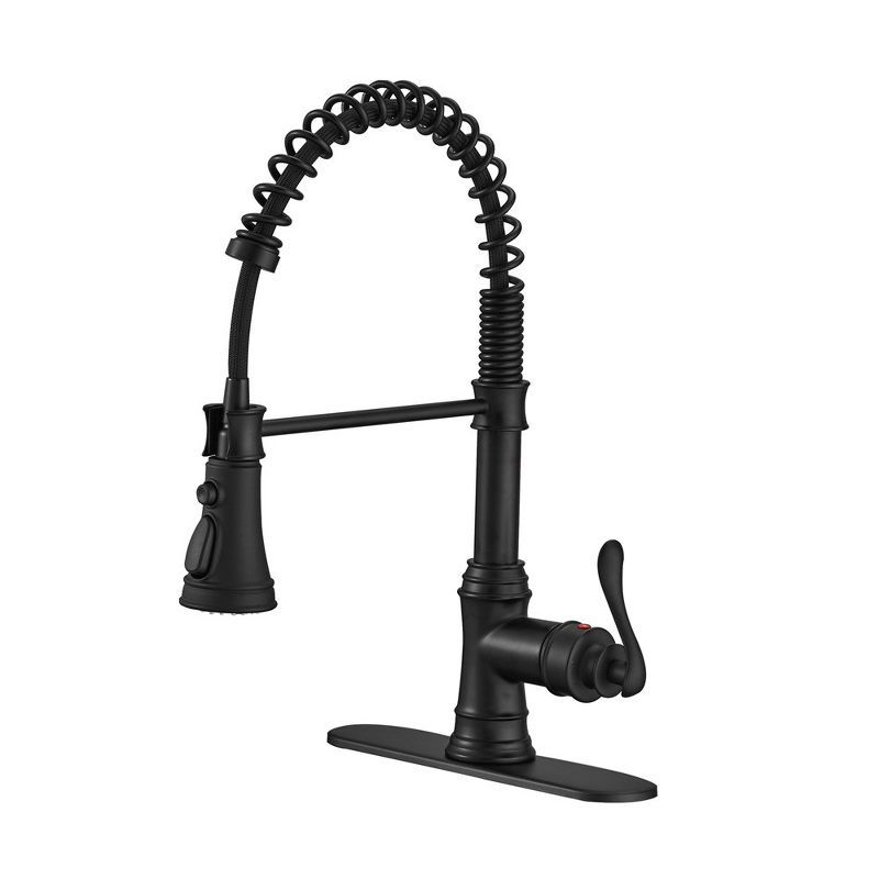 Matte Black Pull-Down Kitchen Faucet with Pull-out Spray