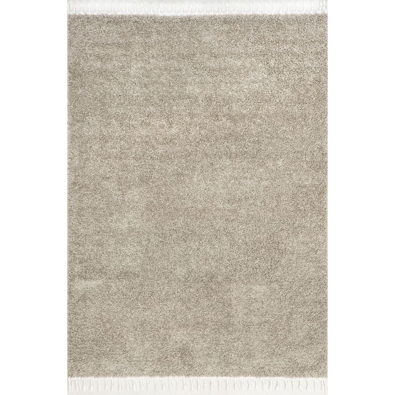 Beige Braided Reversible Shag Synthetic Area Rug, 7x9