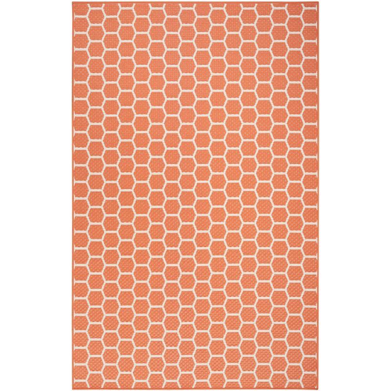 Coral Geometric Reversible Flat Woven 5' x 7' Rug