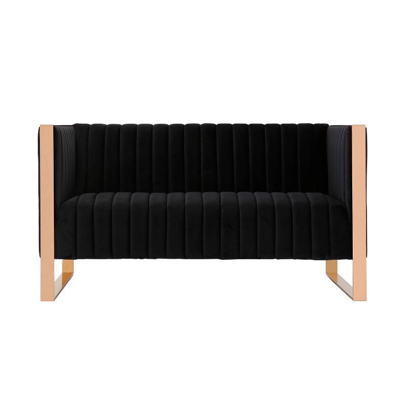 Black Velvet Loveseat with Gold Metal Frame