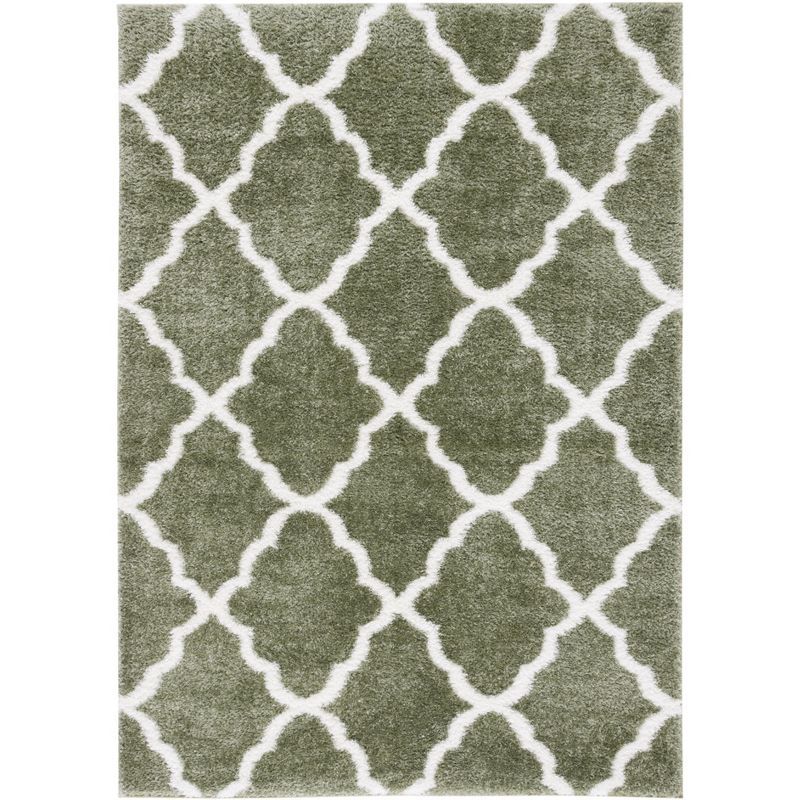 Sage and White Rectangular Shag Area Rug 4' x 6'