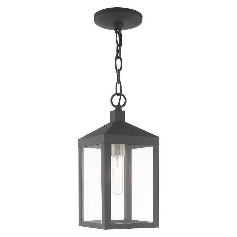 Nyack Scandinavian Gray 1-Light Outdoor Pendant with Clear Glass