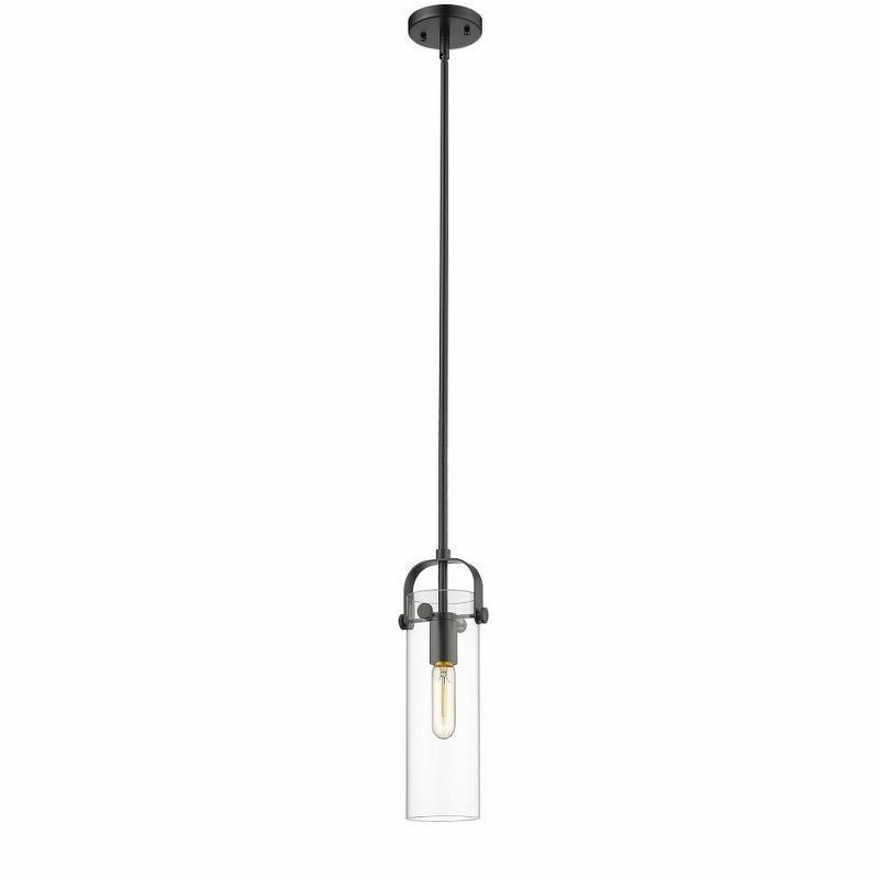 Matte Black Glass Cylinder Indoor/Outdoor Pendant Light