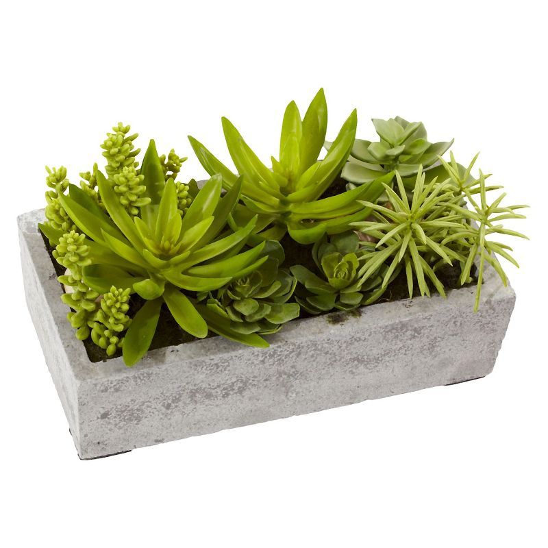 Decorative Outdoor Tabletop Succulent Ensemble in Cement Planter