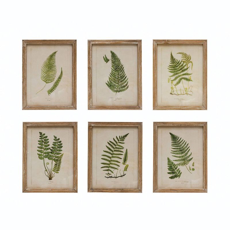 Natural Wood Framed Fern Botanical Wall Art Set of 6