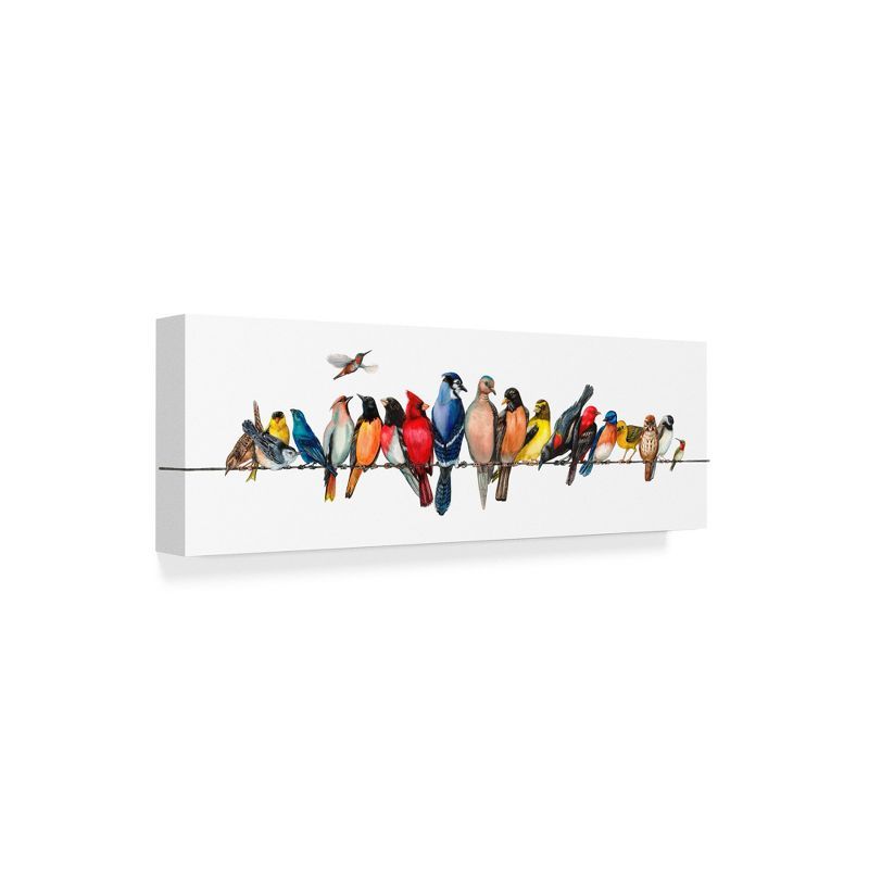 Colorful Tropical Birds on Wire Framed Canvas Print