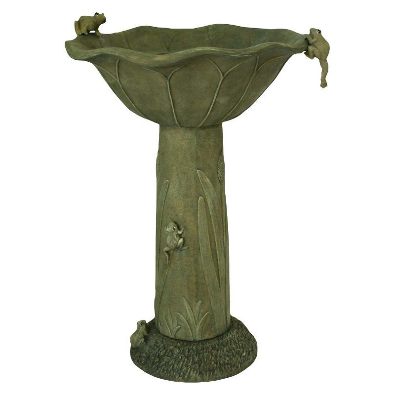 Olive Green Concrete Solar Birdbath with Frog Design