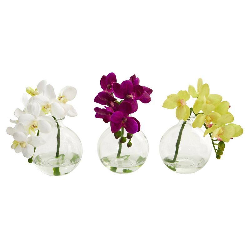 Elegant Trio Phalaenopsis Orchid & Philodendron Potted Arrangement