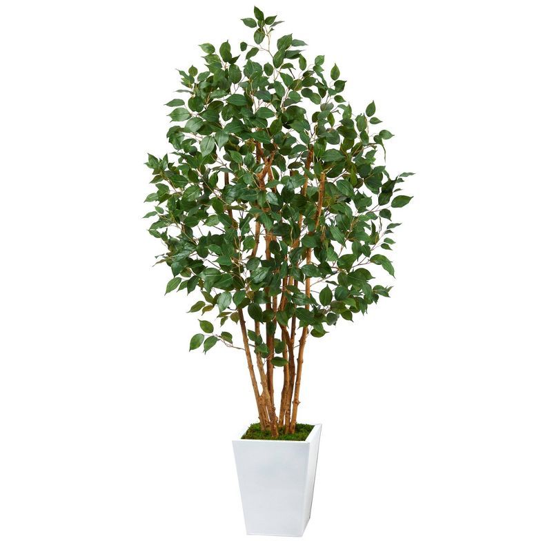 Elegant Lifelike Ficus Floor Plant in White Metal Planter, 71"