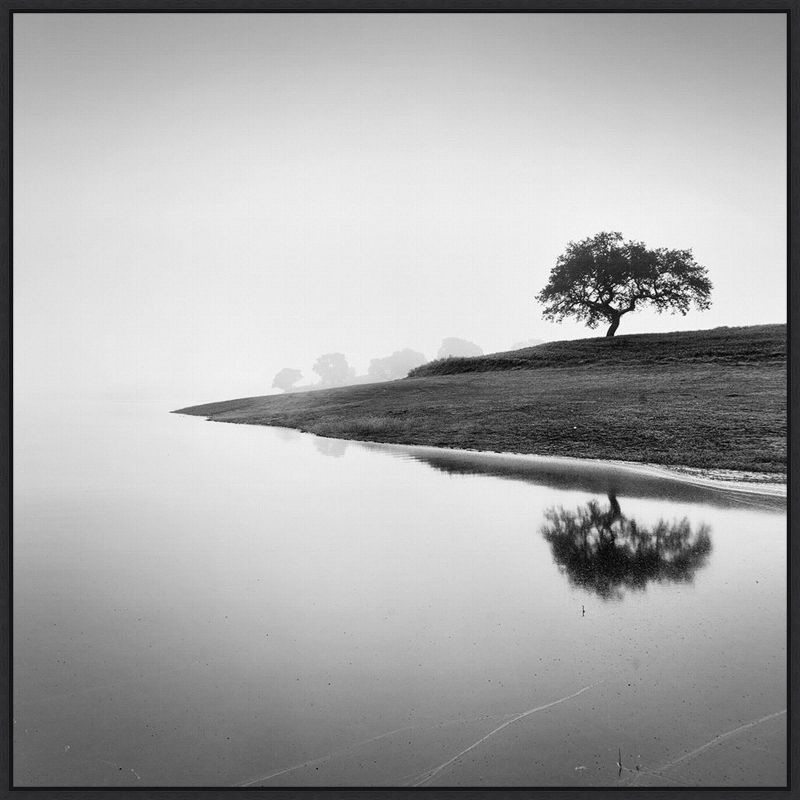 30" x 30" Black and White Tree Lake Framed Canvas Print