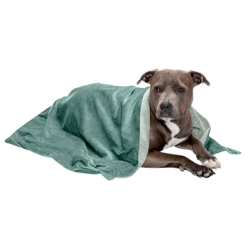 Large Celadon Green Waterproof Velvet Pet Throw Blanket