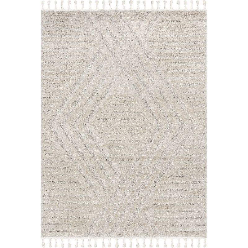 Beige Geometric Shag Rectangular Area Rug with Tassels