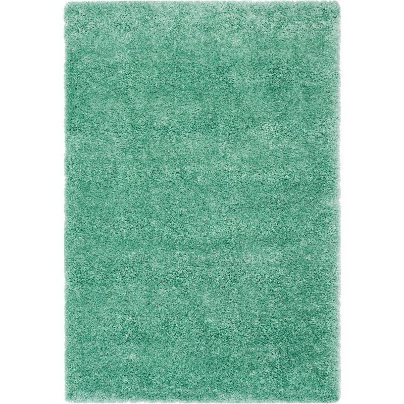 Charlotte Teal 4' x 6' Shag Area Rug