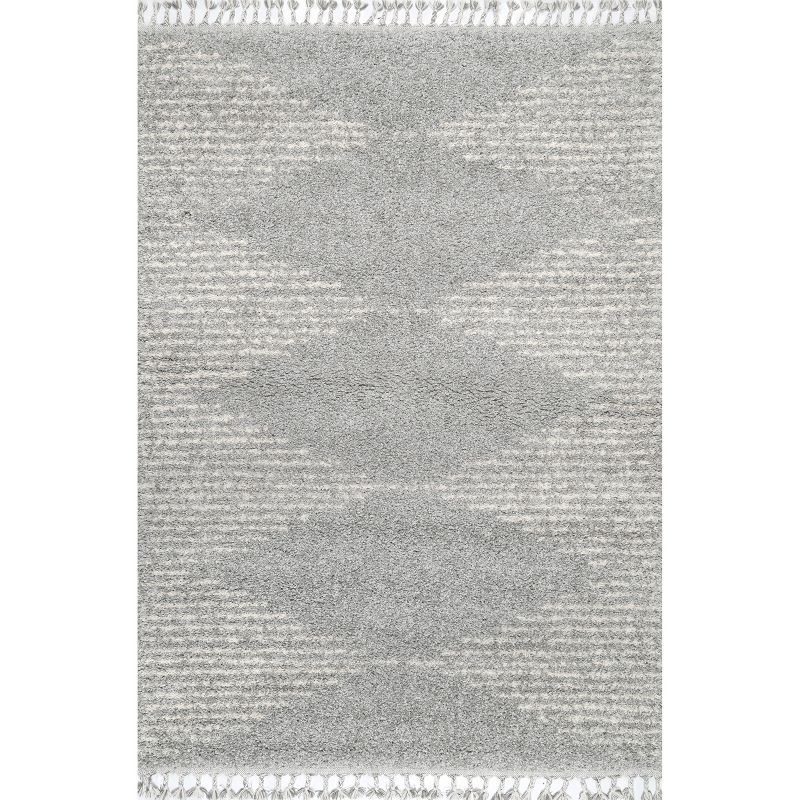 Gray Diamond Braided Shag 4' x 6' Synthetic Area Rug