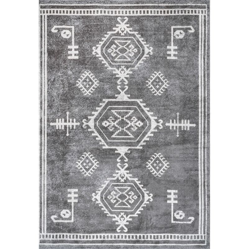 Kyleigh Dark Grey Southwestern Washable Synthetic Area Rug