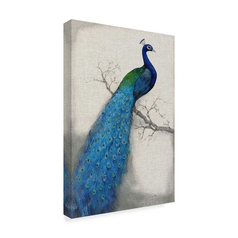 Blue and Gray Framed Peacock Canvas Print