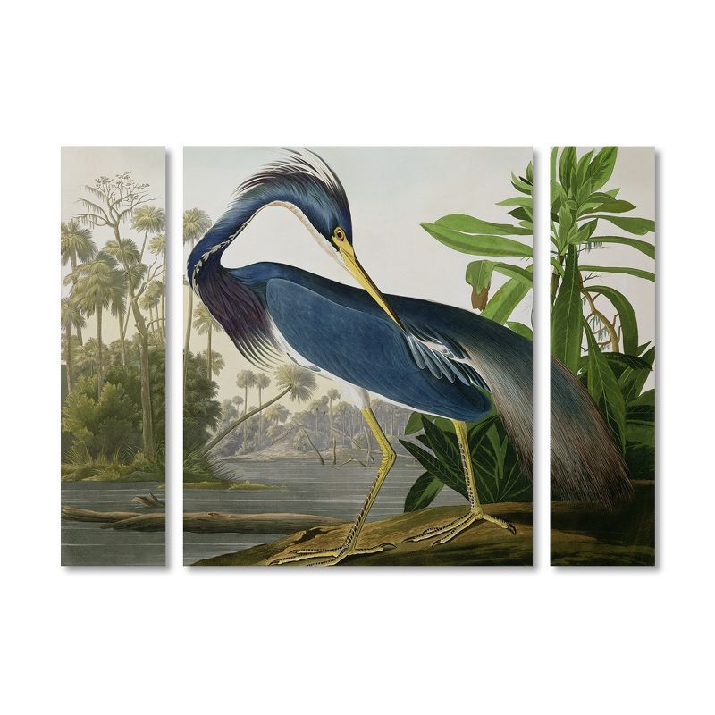 Louisiana Heron Multi-Panel Canvas Art Set