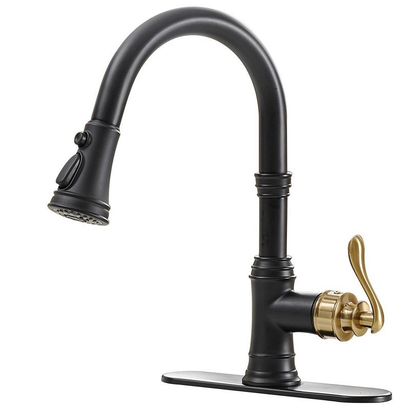 Matte Black and Gold Single-Handle Pull-Down Kitchen Faucet