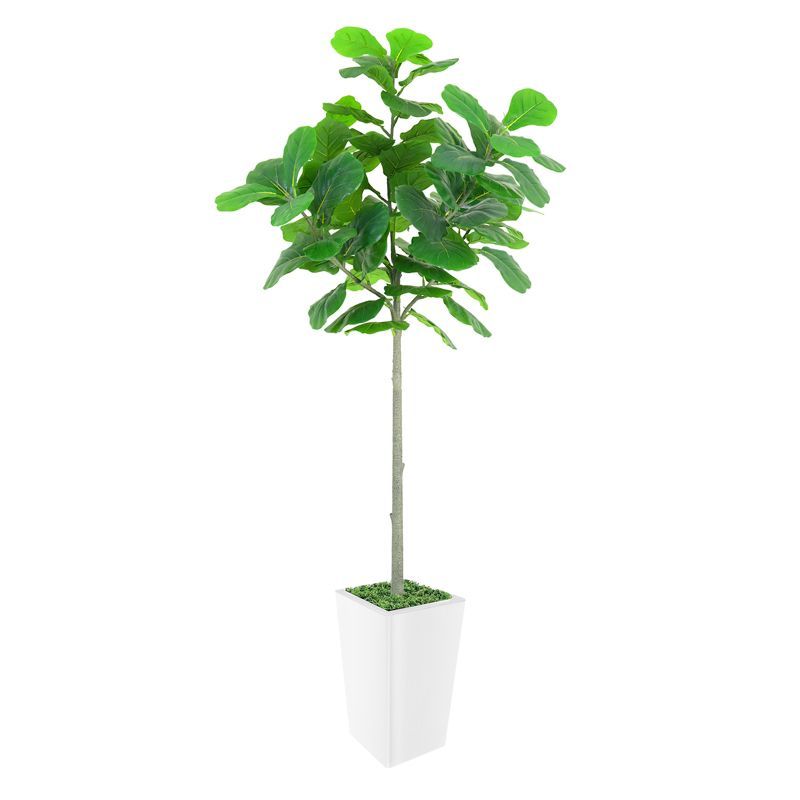 5FT Artificial Fiddle Leaf Fig Tree with White Plastic Pot