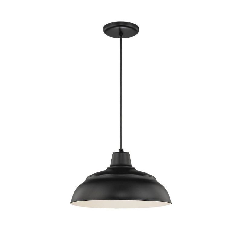 Satin Black Indoor/Outdoor 14" Pendant Light