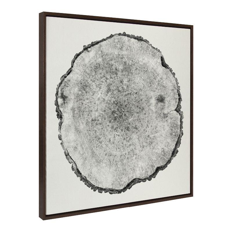 Walnut Brown 30x30 Tree Rings Linen Framed Canvas Art