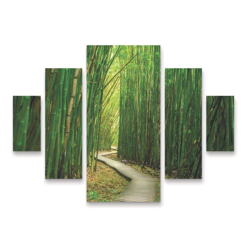 Dennis Frates Bamboo Path 5-Piece Green Canvas Wall Art Set